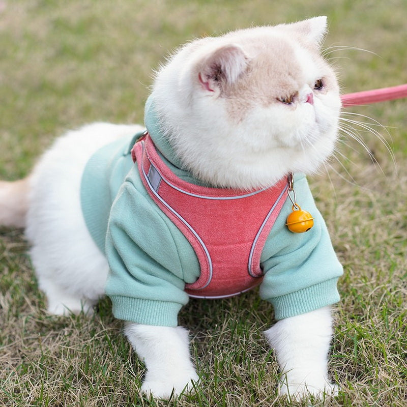 The Perfect Companion: Vest Type Pet Chest Harness Leash