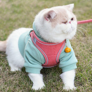 The Perfect Companion: Vest Type Pet Chest Harness Leash