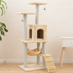 The Perfect Playground for Your Pet