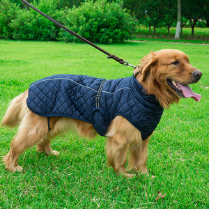 Adjustable Warm Pet Cotton Jacket: The Ultimate Winter Comfort for Your Furry Friends