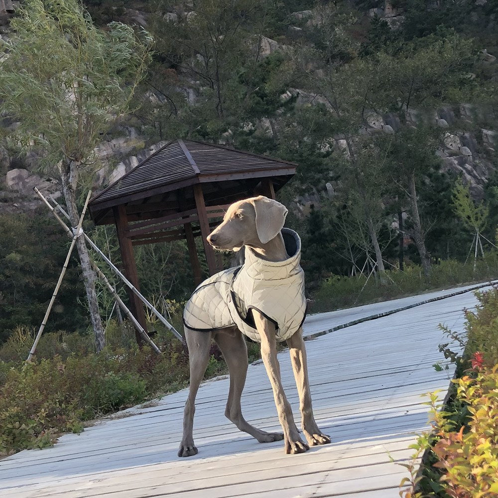 Enhance Your Dog's Safety with the Pet Full Body Reflective Tactical Jacket