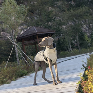 Enhance Your Dog's Safety with the Pet Full Body Reflective Tactical Jacket