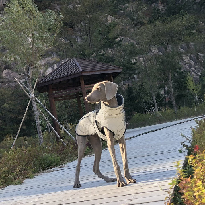 Enhance Your Dog's Safety with the Pet Full Body Reflective Tactical Jacket