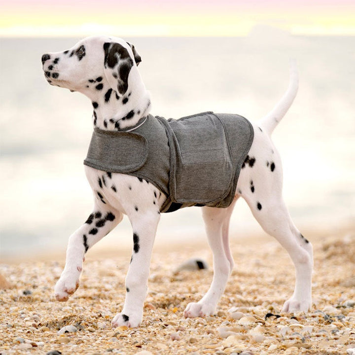 Transform Your Pet's Comfort with the Pet Anxiety Warm Vest Jacket