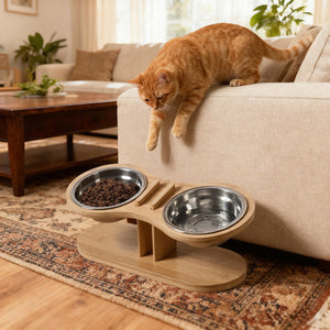 Adjustable Tilted Pet Feeding Stand With Bowl: A Game Changer for Pet Owners