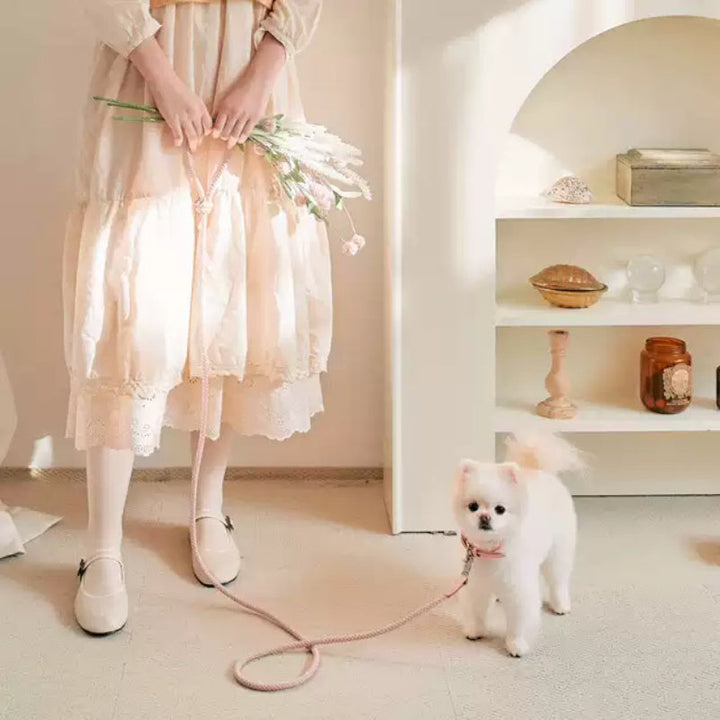 The Perfect Blend of Style and Functionality: Leather Dog Collar And Hand Leash